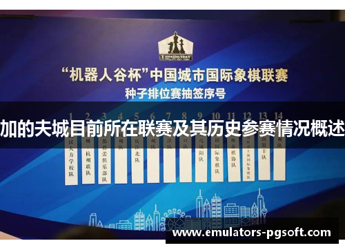 加的夫城目前所在联赛及其历史参赛情况概述