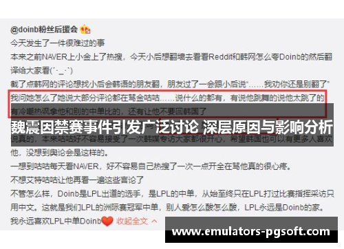 魏震因禁赛事件引发广泛讨论 深层原因与影响分析