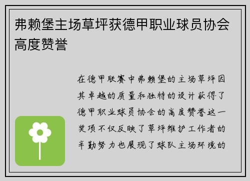弗赖堡主场草坪获德甲职业球员协会高度赞誉 弗赖堡主场草坪获德甲职业球员协会高度赞誉